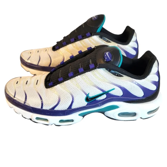 Nike Air Max Grape WHITE/GRAPE ICE Men's Size 13 Charlotte HornetsVibes